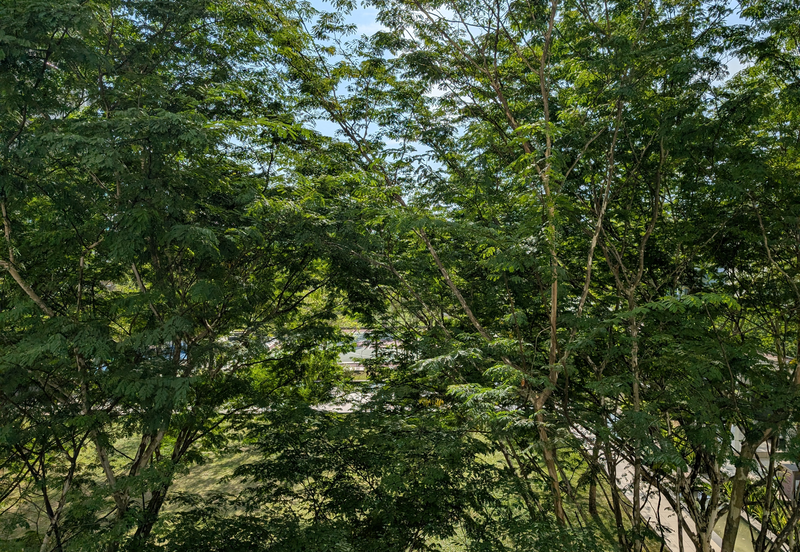 Amaya Saujana, Saujana Subang