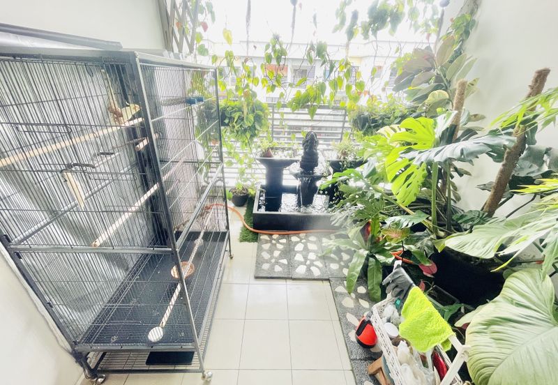 Sierra 1, Odora Parkhomes