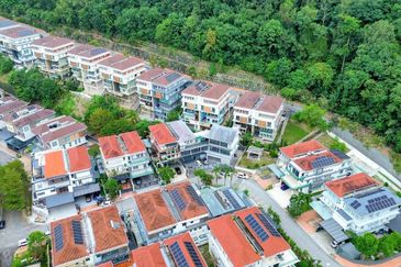 Rafflesia @ The Hill