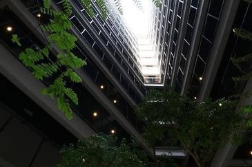 Flexus Signature Suites