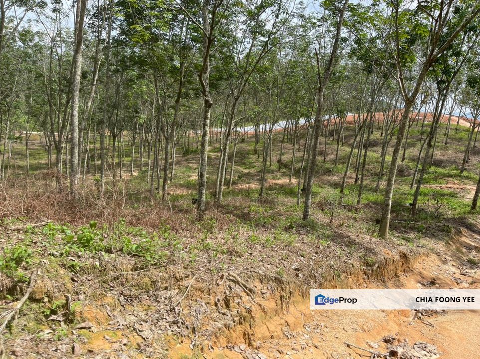 Semenyih Selangor Agricultural Land for sell, Selangor, Hulu Langat