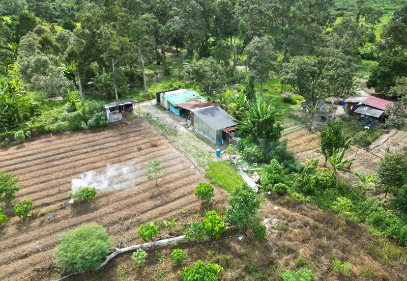 Negeri Sembilan Beranang AGRICULTURAL LAND FOR SALE