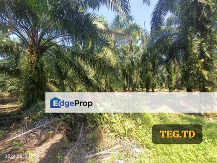 Agricultural Land, Zoning Industial Kampung Jenjarom Selangor For Sale, Selangor, Jenjarom