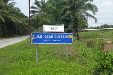 Land at Tanjung Dua Belas Kampung Olak Lempit Kuala Langat Banting For Sale
