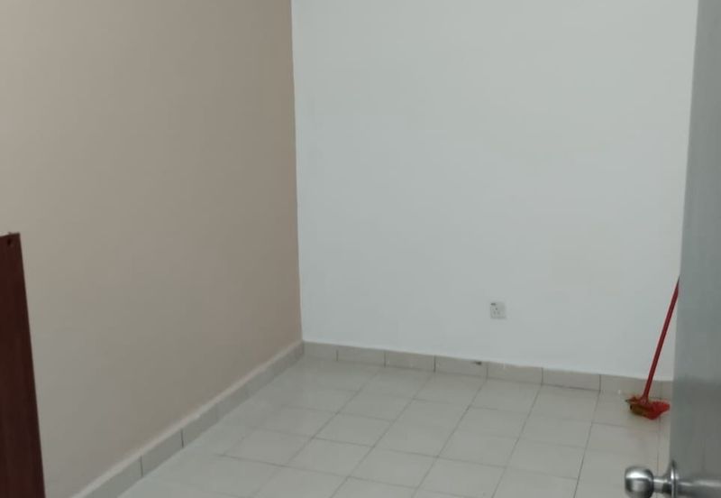 Palm Garden Apartment