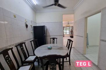 Anggerik Doritis @ Kota Kemuning