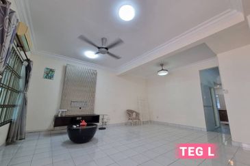 Anggerik Doritis @ Kota Kemuning