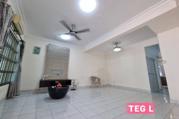 Anggerik Doritis @ Kota Kemuning