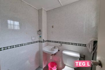 Anggerik Doritis @ Kota Kemuning