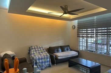 Anggerik Doritis @ Kota Kemuning