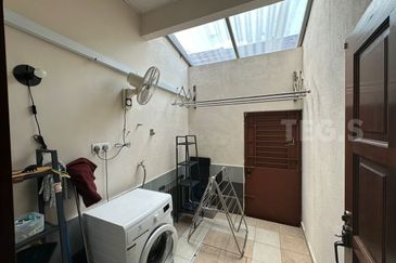 Anggerik Doritis @ Kota Kemuning