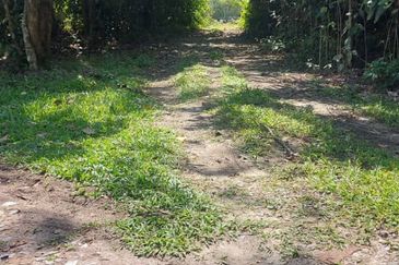 Tanah Pantai Seremban Exit Temiang 16 Ekar Freehold Malay Reserved