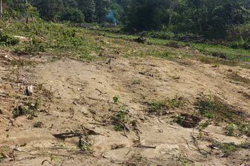 Tanah Pantai Seremban Exit Temiang 16 Ekar Freehold Malay Reserved