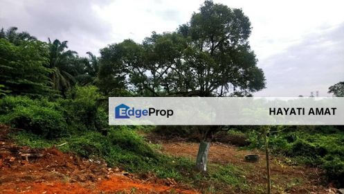 Tanah Pertanian 6 Ekar l Tanah Dusun Durian Rambutan Manggis Nona l Batu 6 Port Dickson, Negeri Sembilan, Port Dickson