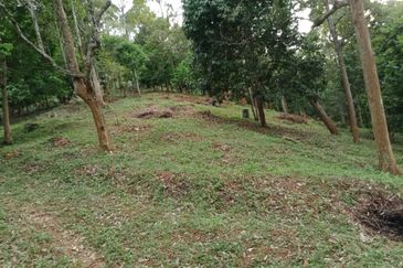 Menarik Tanah Langkawi l Luas Ada Infra l Luas 4.6 ekar l Ada Pokok Durian Rambutan Dokong Manggis