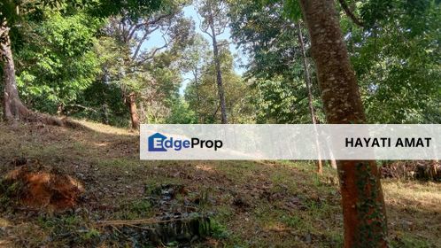 Menarik Tanah Langkawi l Luas Ada Infra l Luas 4.6 ekar l Ada Pokok Durian Rambutan Dokong Manggis, Kedah, Langkawi