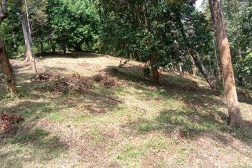 Menarik Tanah Langkawi l Luas Ada Infra l Luas 4.6 ekar l Ada Pokok Durian Rambutan Dokong Manggis