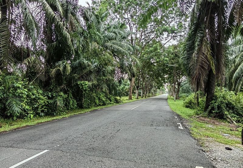 Menarik Tanah Langkawi l Luas Ada Infra l Luas 4.6 ekar l Ada Pokok Durian Rambutan Dokong Manggis