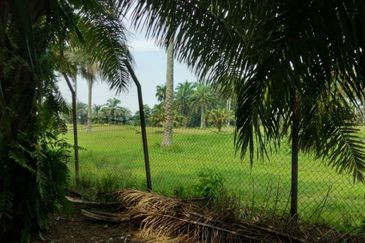 Kulai Agriculture Oil Palm Land