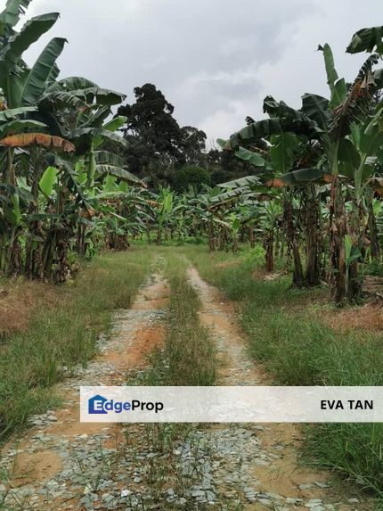 Simpang Rengam Fruit Farm Land, Johor, Simpang Renggam