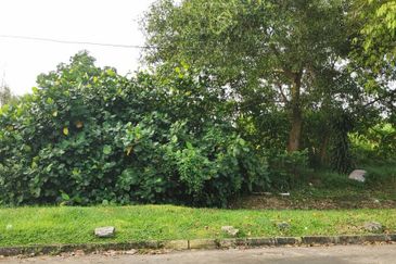 Pasir Gudang Commercial Land