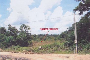 Senai Saleng Industrial Land