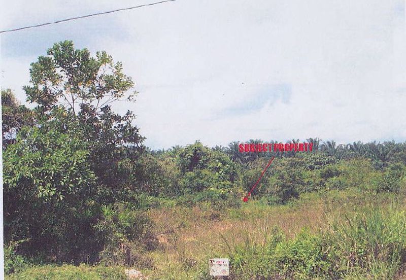 Senai Saleng Industrial Land