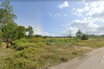 Tanjung Langsat Industrial Land