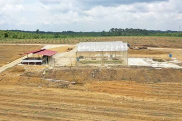 Senai Zoning Industrial & Residential Land