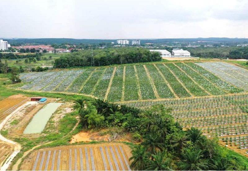 Senai Zoning Industrial & Residential Land