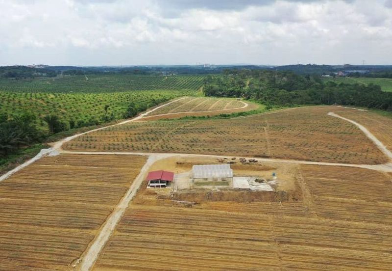 Senai Zoning Industrial & Residential Land