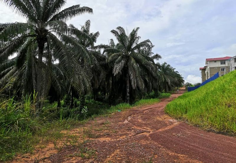 Segamat Batu Anam Zoning Residential Land