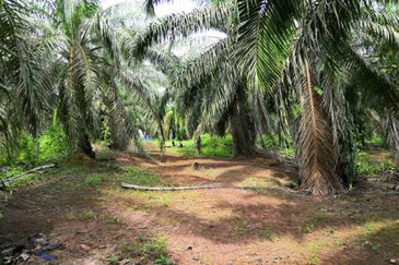 Segamat Batu Anam Zoning Residential Land