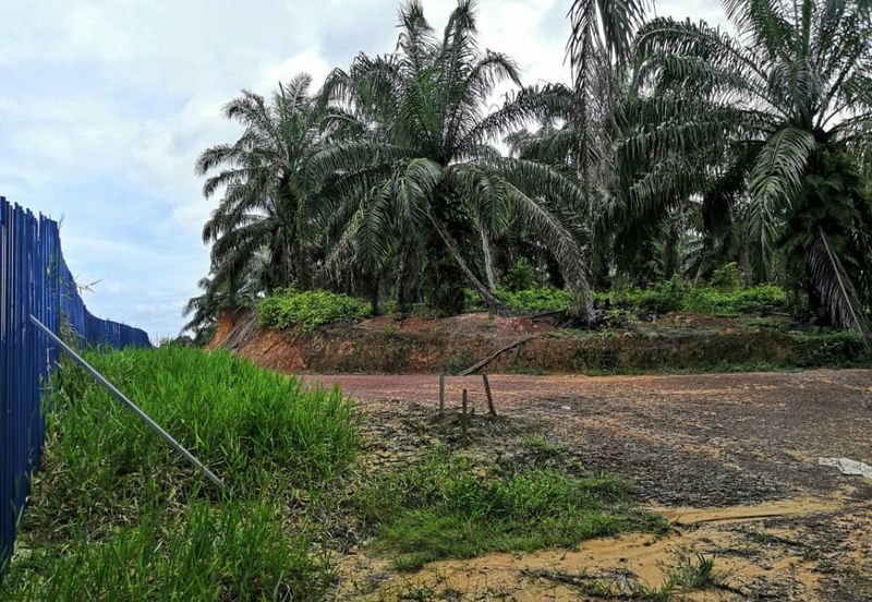 Segamat Batu Anam Zoning Residential Land