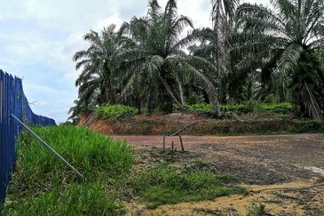 Segamat Batu Anam Zoning Residential Land