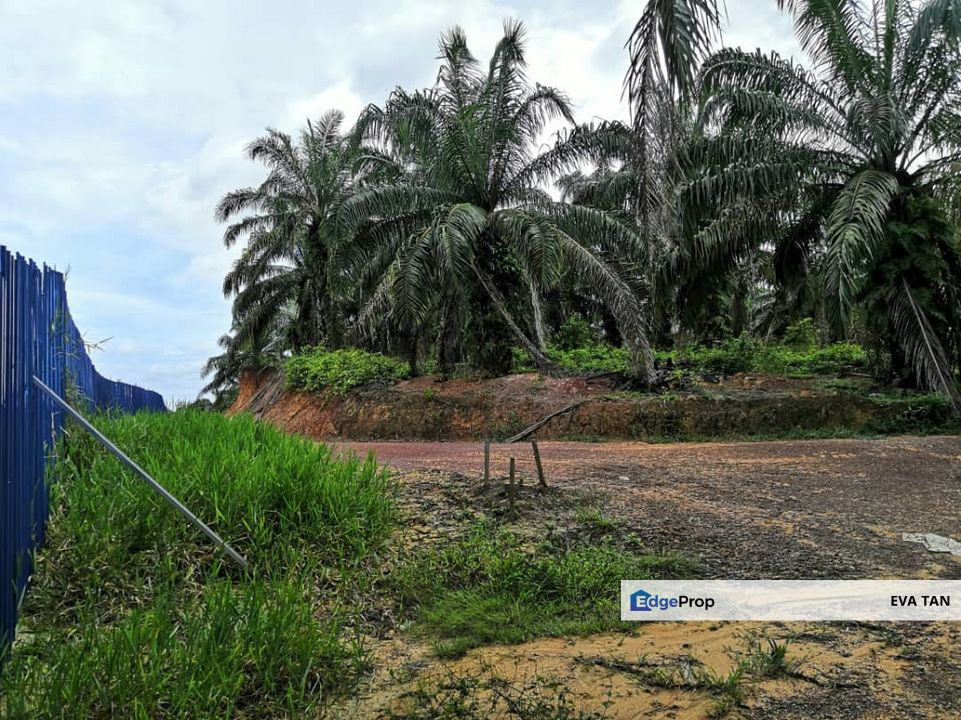 Segamat Batu Anam Zoning Residential Land, Johor, Segamat