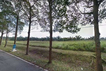 Seelong Industrial Land