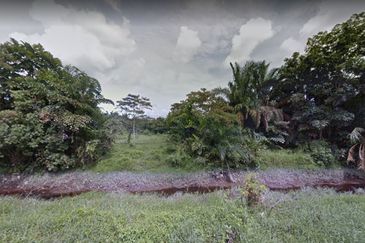 Pontian Pt Selangor Baru Agriculture Land