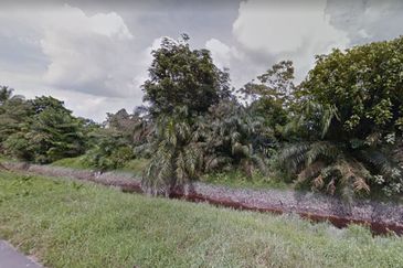 Pontian Pt Selangor Baru Agriculture Land