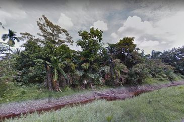 Pontian Pt Selangor Baru Agriculture Land