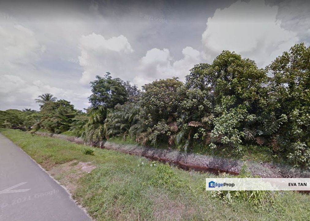 Pontian Pt Selangor Baru Agriculture Land, Johor, Pontian