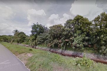 Pontian Pt Selangor Baru Agriculture Land