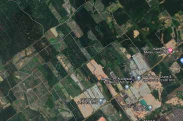 Senai Seelong Agriculture Land