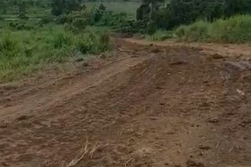 Senai Medium Industrial Land