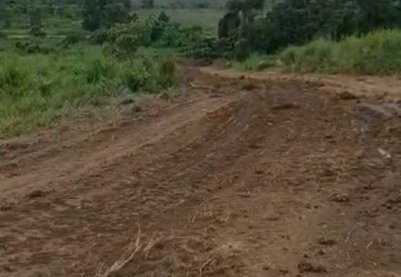 Senai Medium Industrial Land