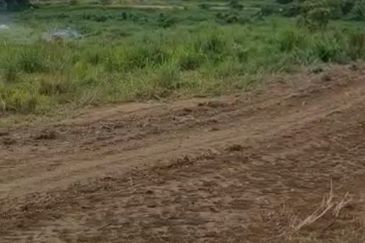 Senai Medium Industrial Land