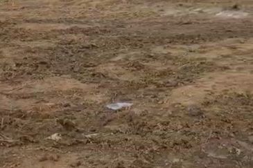 Senai Medium Industrial Land