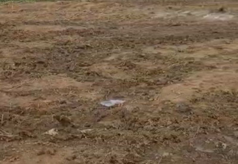 Senai Medium Industrial Land