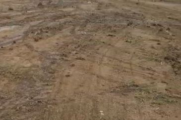 Senai Medium Industrial Land