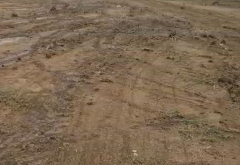 Senai Medium Industrial Land